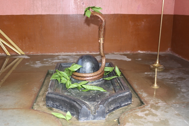 Nadinath Mahadev Shivling with naag, inside the sanctum