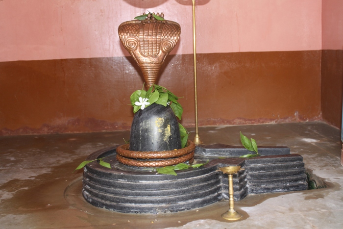 Mahadev 8