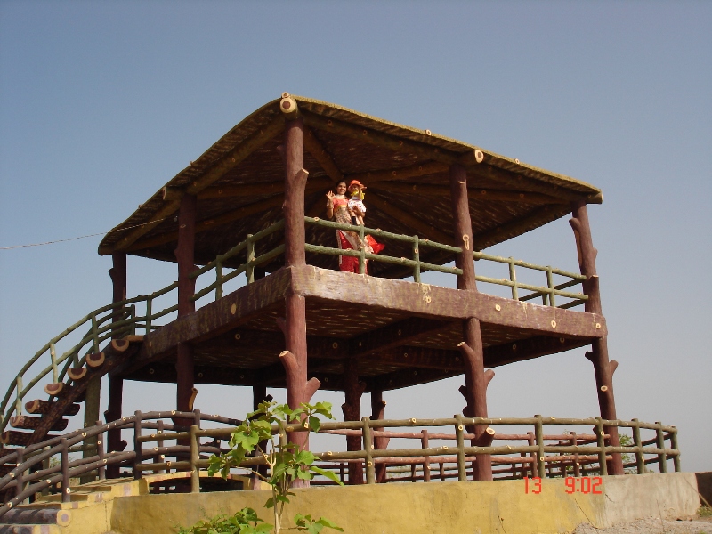 Forest viewing cottage at the tirth