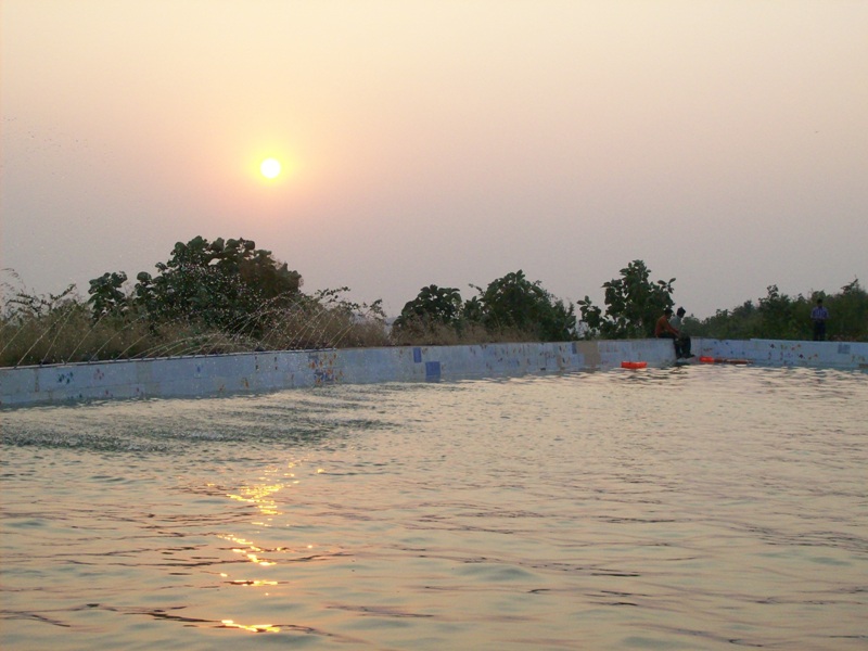 Sunrise & Sunset 3