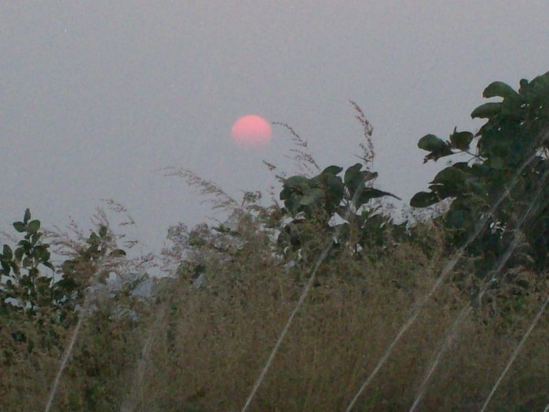 Sunrise & Sunset 4