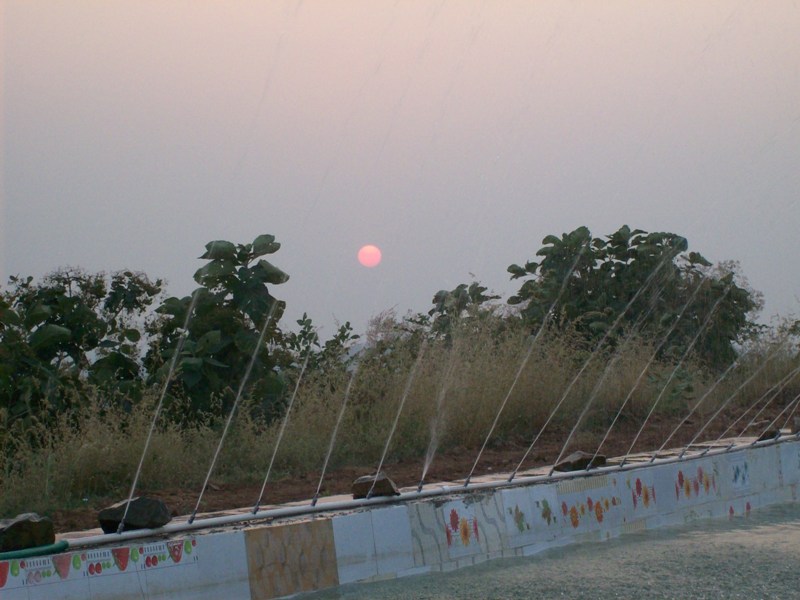 Sunrise & Sunset 6